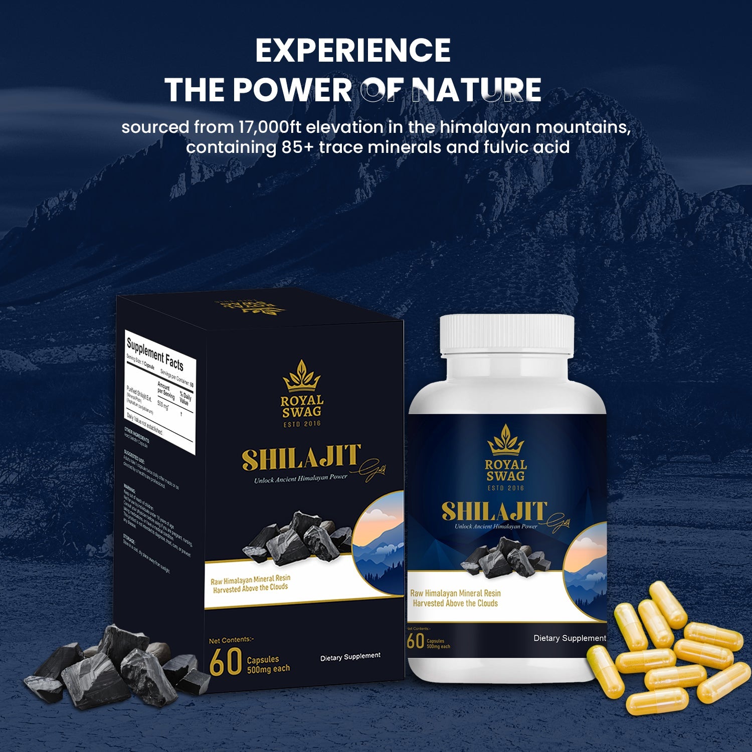 ROYAL SWAG Shilajit Capsules for Men | Hard Gelatin Shell | Stamina, Vitality, Hormonal Balance, Cognitive & Immune Support | Adaptogen & Antioxidant | 60 Capsules